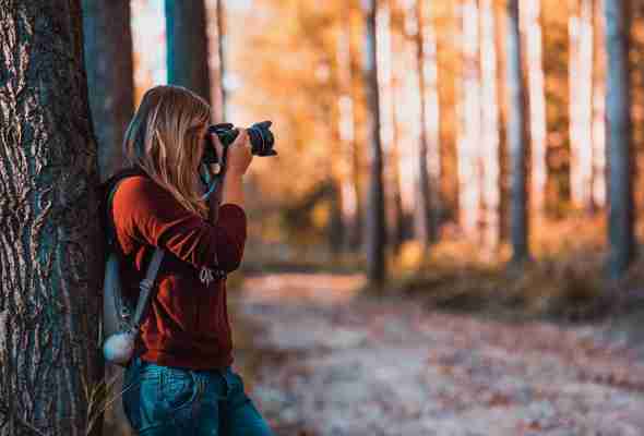 Die 7 Besten Kameras für Tierwelt Fotografie [2022]