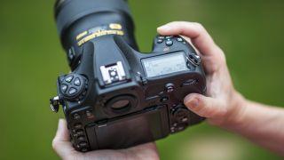 10 Kameraeinstellungen, die Sie lernen müssen, um Ihre Nikon zu beherrschen
